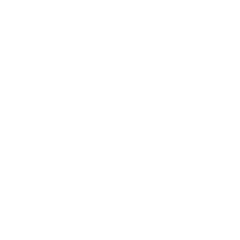 Wella Professionals